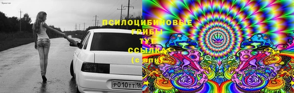 винт Абаза