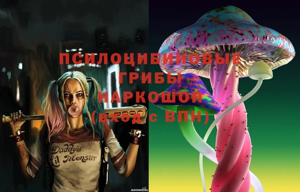 винт Абаза